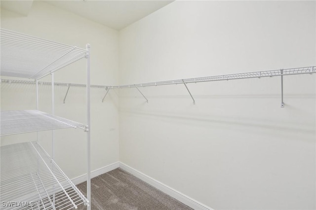 11823 Timbermarsh Ct, Fort Myers, FL 33913 - walk in closet with carpet floors