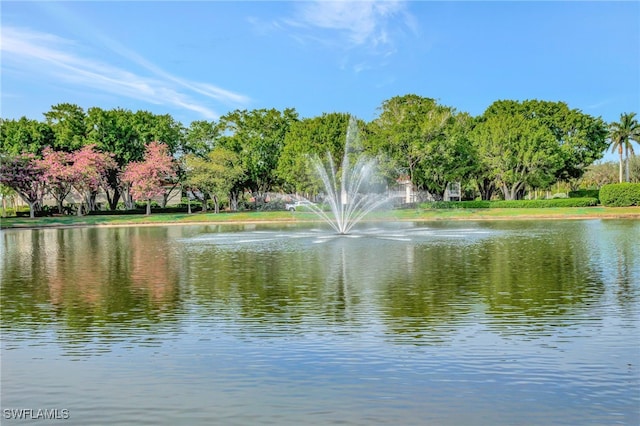 water view