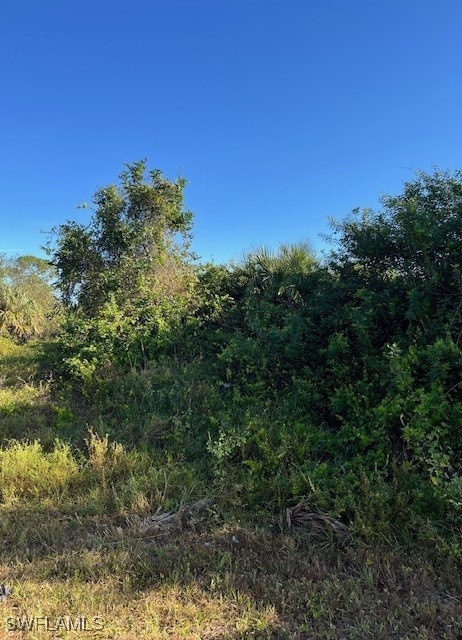 301 Rawlings Ave, Lehigh Acres FL, 33974 land for sale