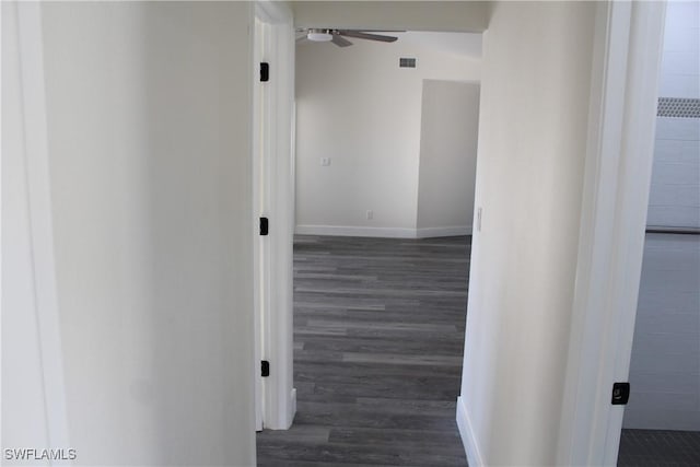 hallway featuring dark wood-type flooring