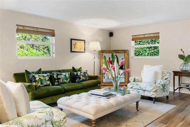 living room featuring hardwood / wood-style flooring and a healthy amount of sunlight