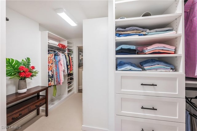 walk in closet with light carpet