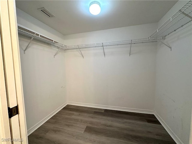 walk in closet featuring dark wood-type flooring