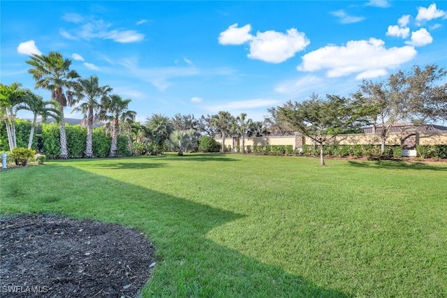 view of yard