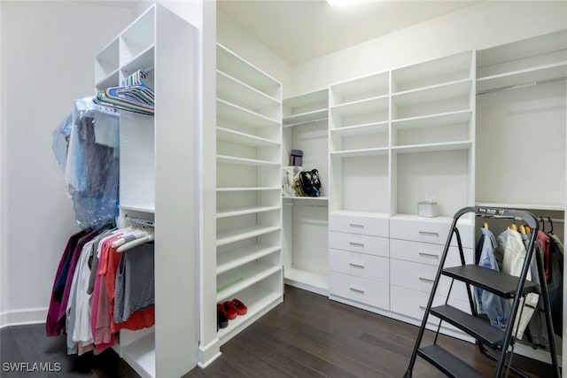 spacious closet with dark wood-style flooring