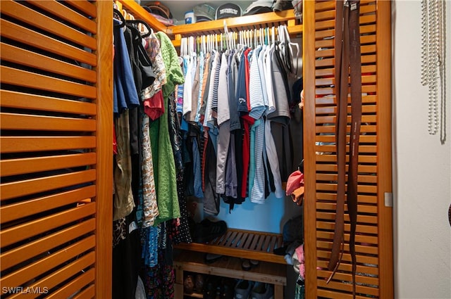 view of walk in closet