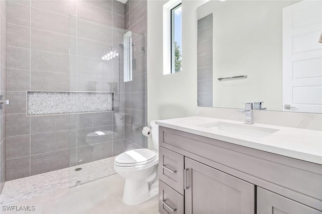 full bathroom featuring vanity, toilet, and walk in shower