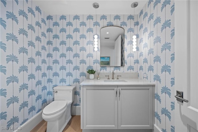 bathroom featuring toilet, hardwood / wood-style flooring, and vanity