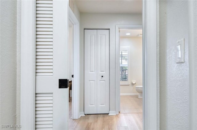 hall with light hardwood / wood-style flooring