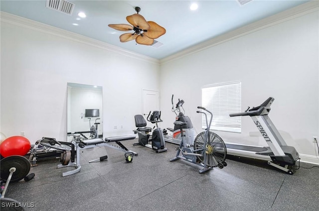 workout area with crown molding and ceiling fan