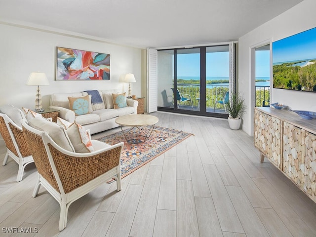 living room featuring a water view and light hardwood / wood-style floors