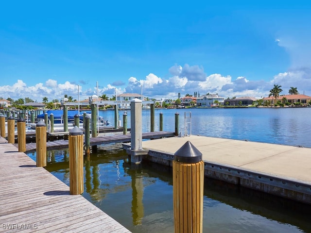 dock area with a water view