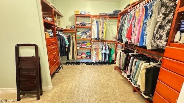 walk in closet with light colored carpet