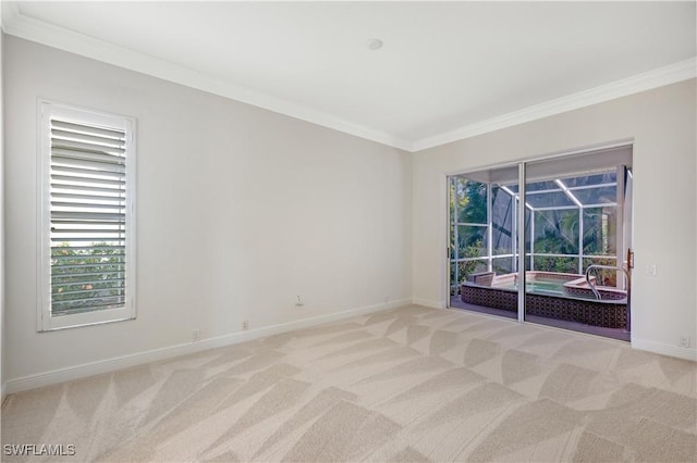 empty room with light colored carpet and crown molding