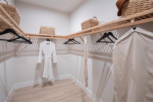 walk in closet featuring wood-type flooring