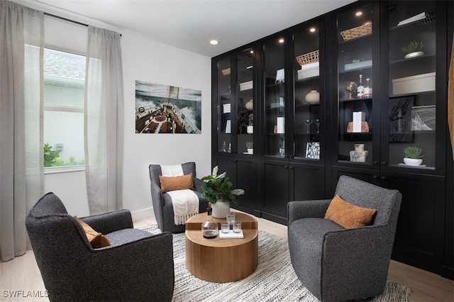 sitting room featuring light hardwood / wood-style flooring and a healthy amount of sunlight