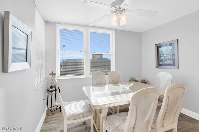 dining space featuring light hardwood / wood-style floors and ceiling fan