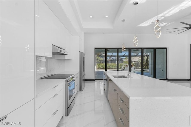 2123 SW 52nd Ter, Cape Coral, FL 33914 - kitchen featuring modern cabinets, stainless steel appliances, a large island with sink, white cabinets, and under cabinet range hood