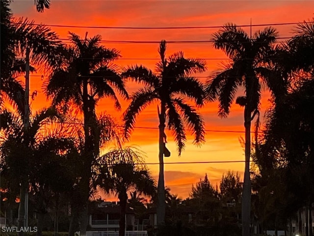 view of nature at dusk