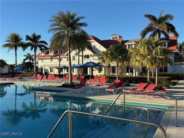 view of swimming pool featuring a patio