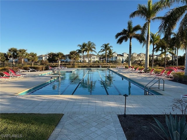 view of swimming pool with a patio