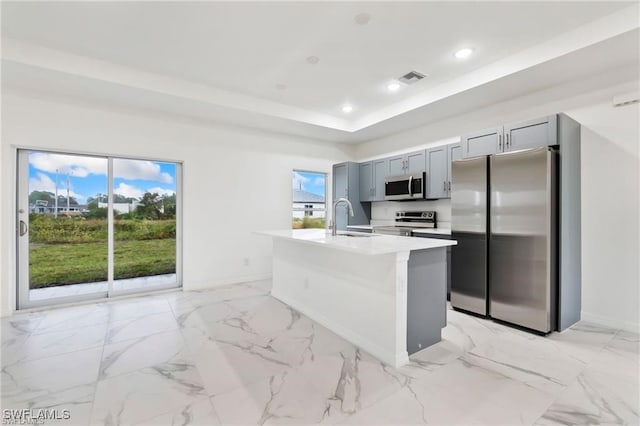 kitchen with gray cabinets, sink, an island with sink, and stainless steel appliances