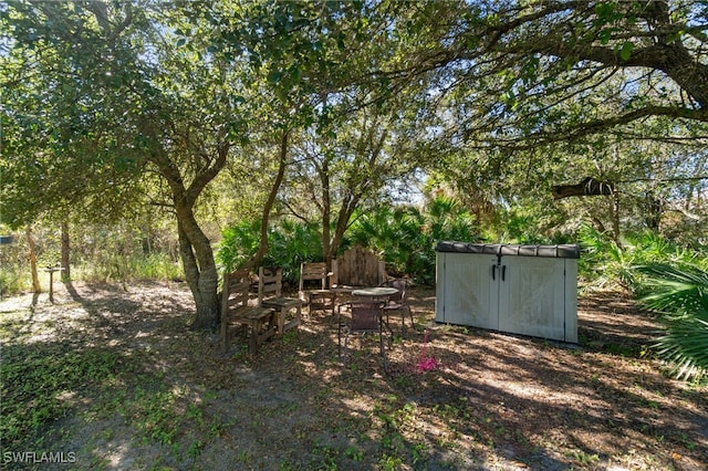 view of yard featuring a storage shed