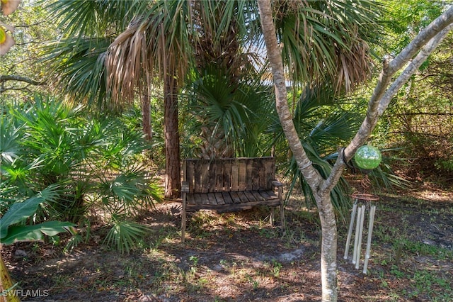 view of local wilderness