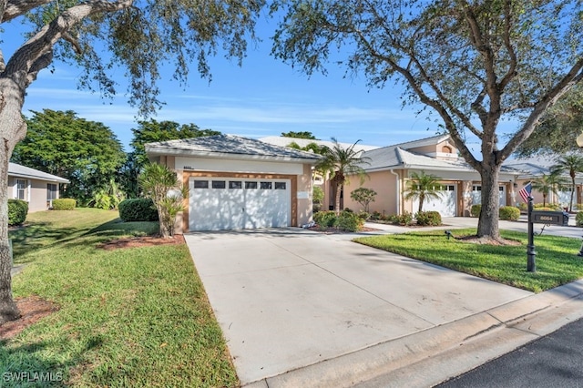 ranch-style house with a front yard