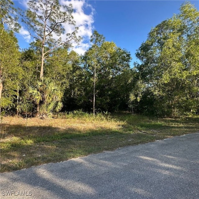 118 Johns Ave, Lehigh Acres FL, 33936 land for sale