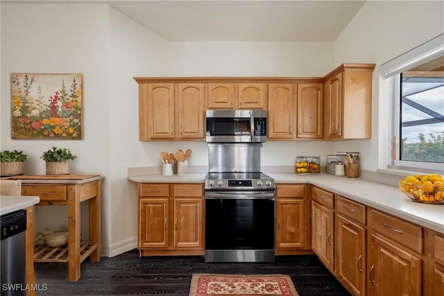 kitchen with stainless steel appliances and dark hardwood / wood-style floors