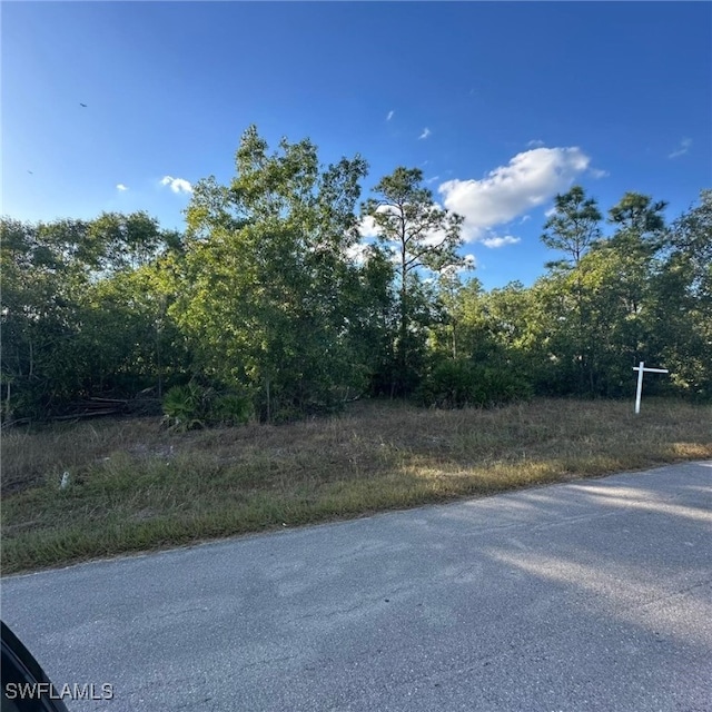 Listing photo 2 for 203 Wellington Ave, Lehigh Acres FL 33936