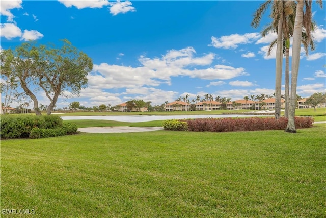 view of home's community with a yard