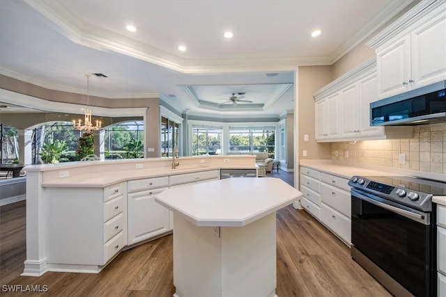 kitchen with white cabinets, a raised ceiling, light hardwood / wood-style flooring, appliances with stainless steel finishes, and a kitchen island