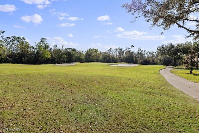 view of home's community featuring a yard