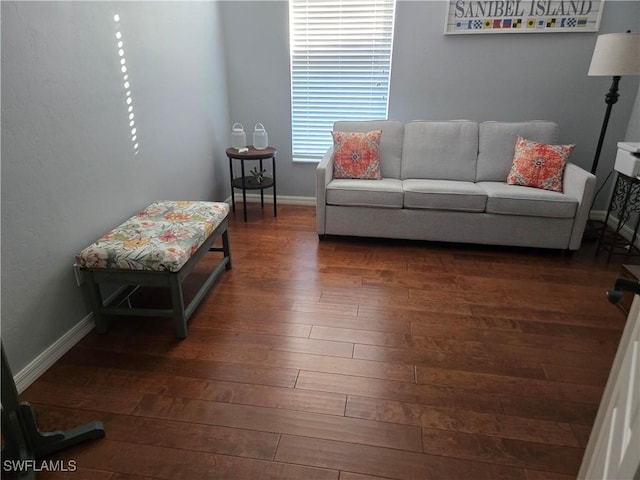 living room with dark hardwood / wood-style flooring