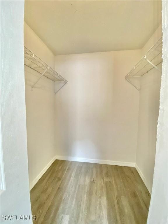 walk in closet with hardwood / wood-style floors