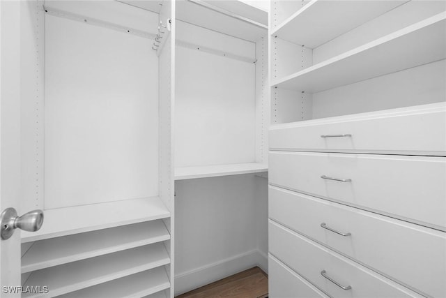 walk in closet with hardwood / wood-style flooring