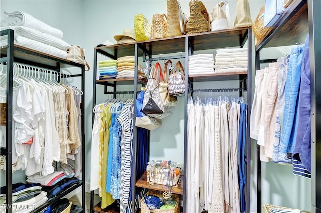 view of spacious closet