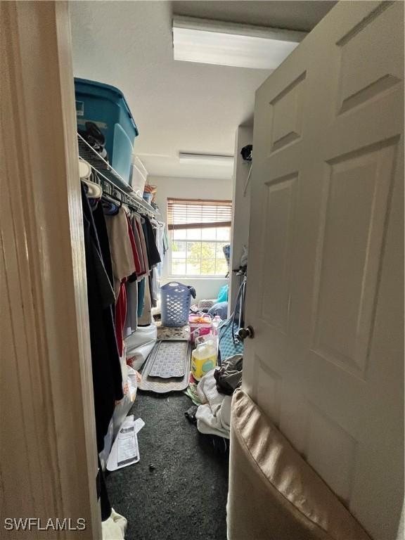 spacious closet featuring carpet floors