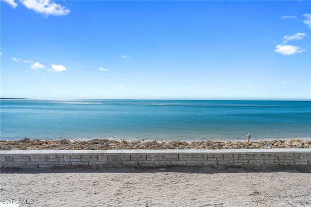 water view with a view of the beach