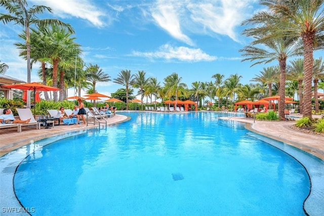 view of pool with a patio area