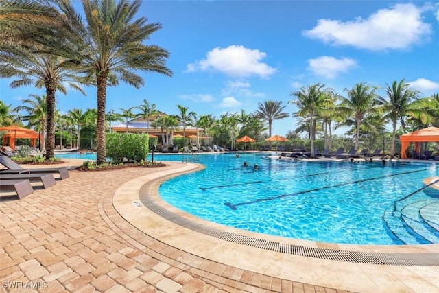 view of swimming pool