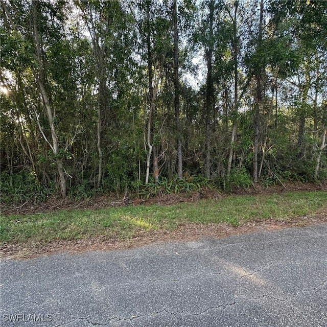 311 Monroe Ave, Lehigh Acres FL, 33936 land for sale