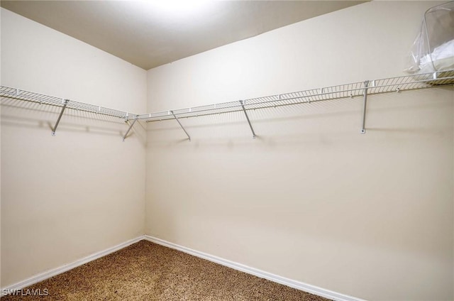 walk in closet with carpet