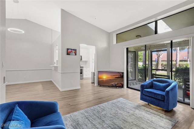 living room with wood-type flooring and high vaulted ceiling