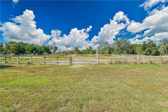 view of yard with a rural view