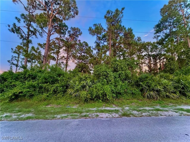 511 Redwood Ave S, Lehigh Acres FL, 33974 land for sale