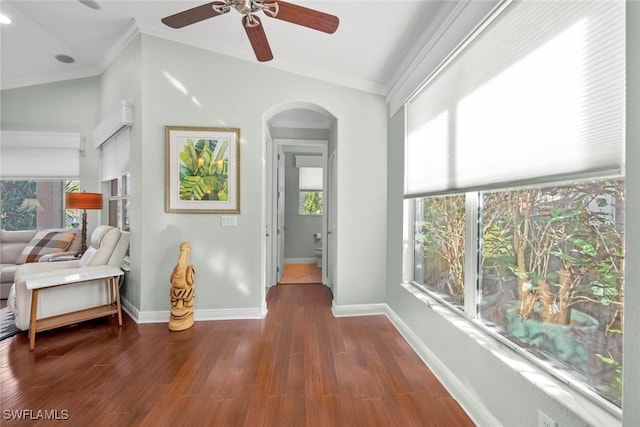 hallway with lofted ceiling, a wealth of natural light, crown molding, and dark hardwood / wood-style floors