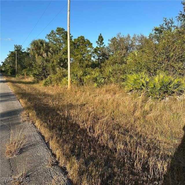 312 Wells Ave, Lehigh Acres FL, 33936 land for sale